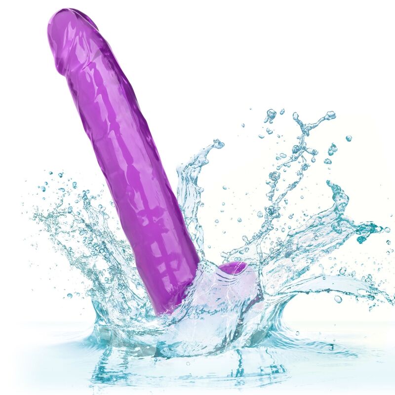 CALEXOTICS - VELIKOST QUEEN DILDO VIJOLIČNA 25,5 CM
