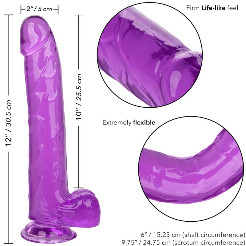 CALEXOTICS - VELIKOST QUEEN DILDO VIJOLIČNA 25,5 CM