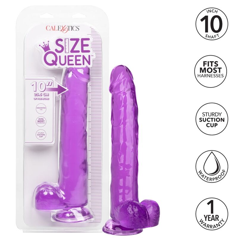 CALEXOTICS - VELIKOST QUEEN DILDO VIJOLIČNA 25,5 CM