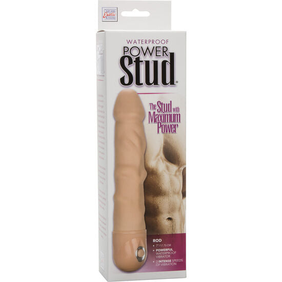 CALEXOTICS - VIBRATOR ZA KOŽO Z MOČJO ŽREBCA