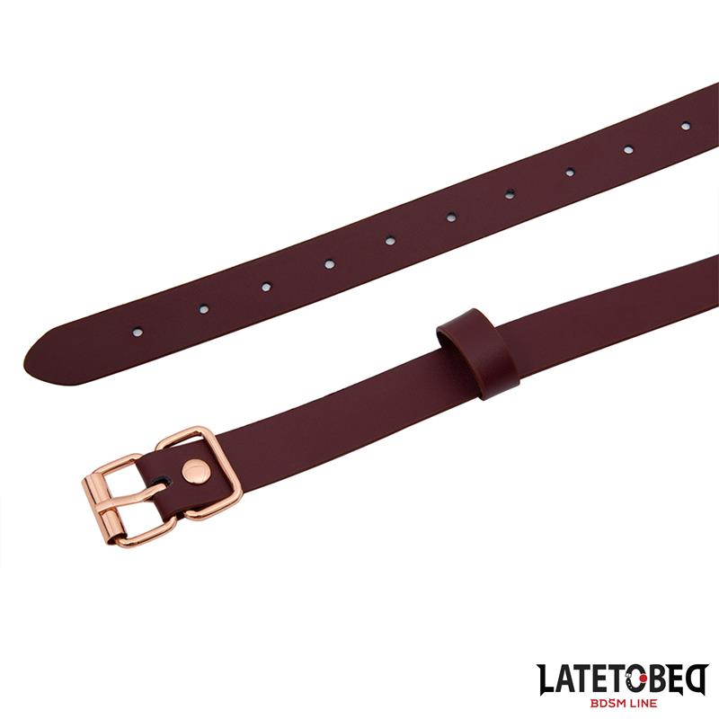 Leather O Ring Gag