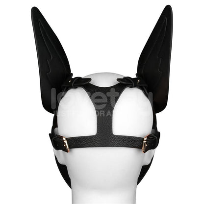 Rebellion Reign Scarred Alpha Pup Mask Blue