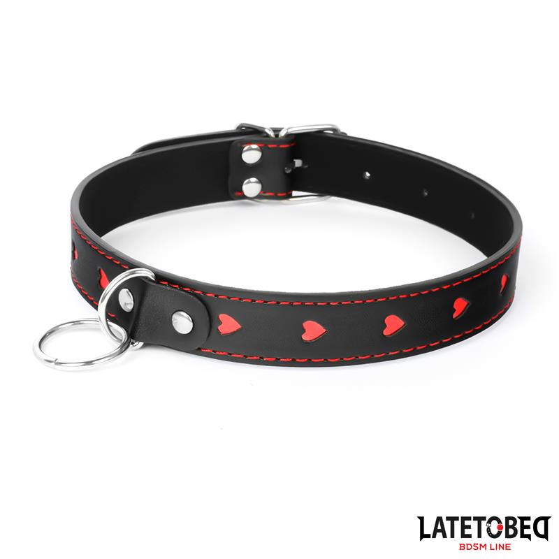 collar with Leash 52 cm