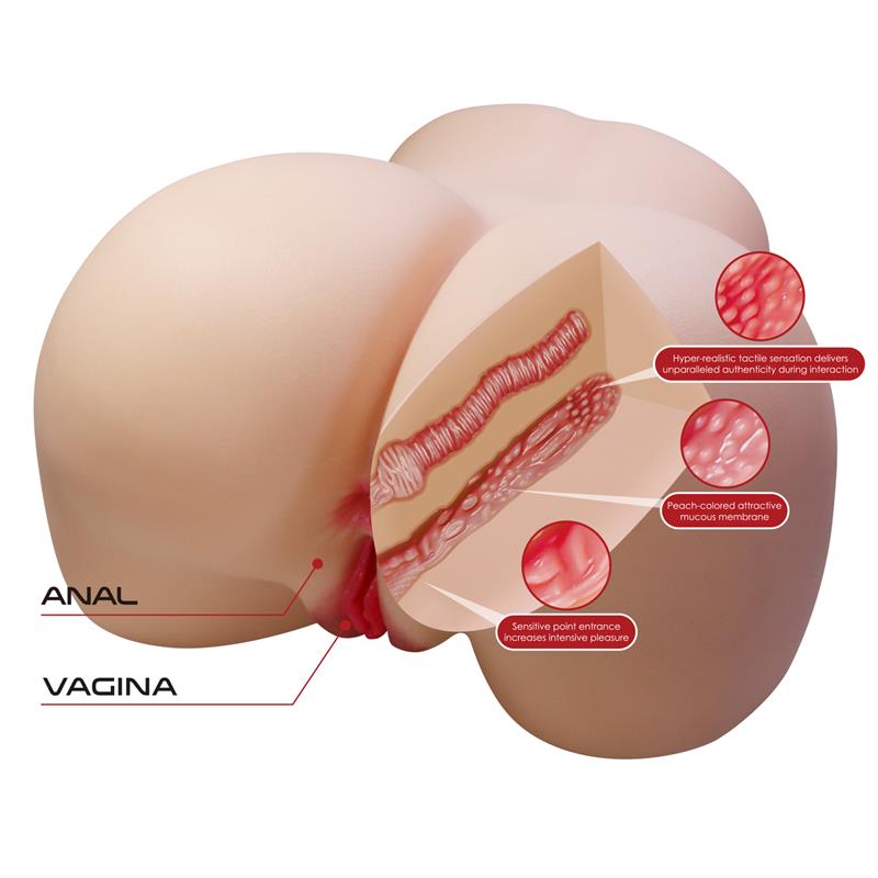 Masturbator Vagina and Ass 11kg
