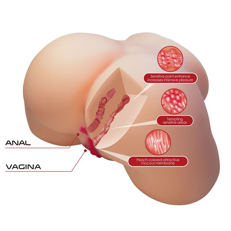 Masturbator Vagina and Ass 55kg