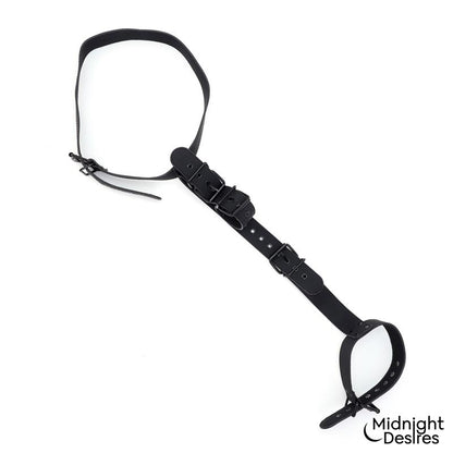 Collar and Wrist Cuffs Body Restraint Set