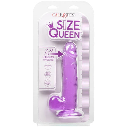 CALEXOTICS - VELIKOST QUEEN DILDO VIJOLIČNA 15,3 CM