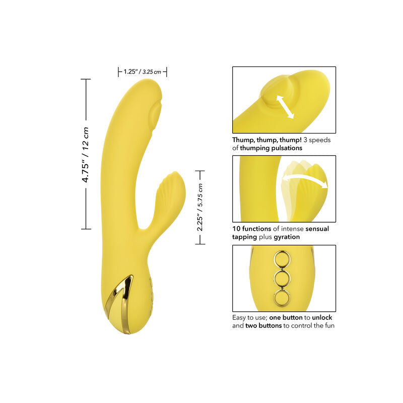 CALEXOTICS - ZAPELJEVANJE V SAN DIEGU