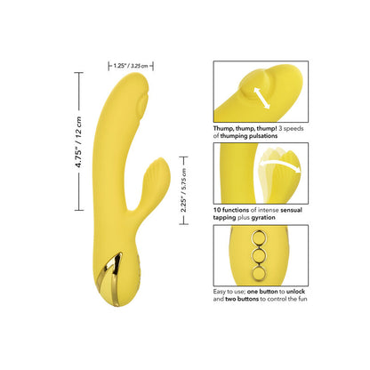 CALEXOTICS - ZAPELJEVANJE V SAN DIEGU