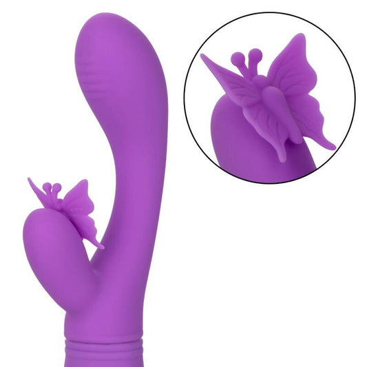 CALEXOTICS - METULJEV POLJUB FLUTTER VIOLET