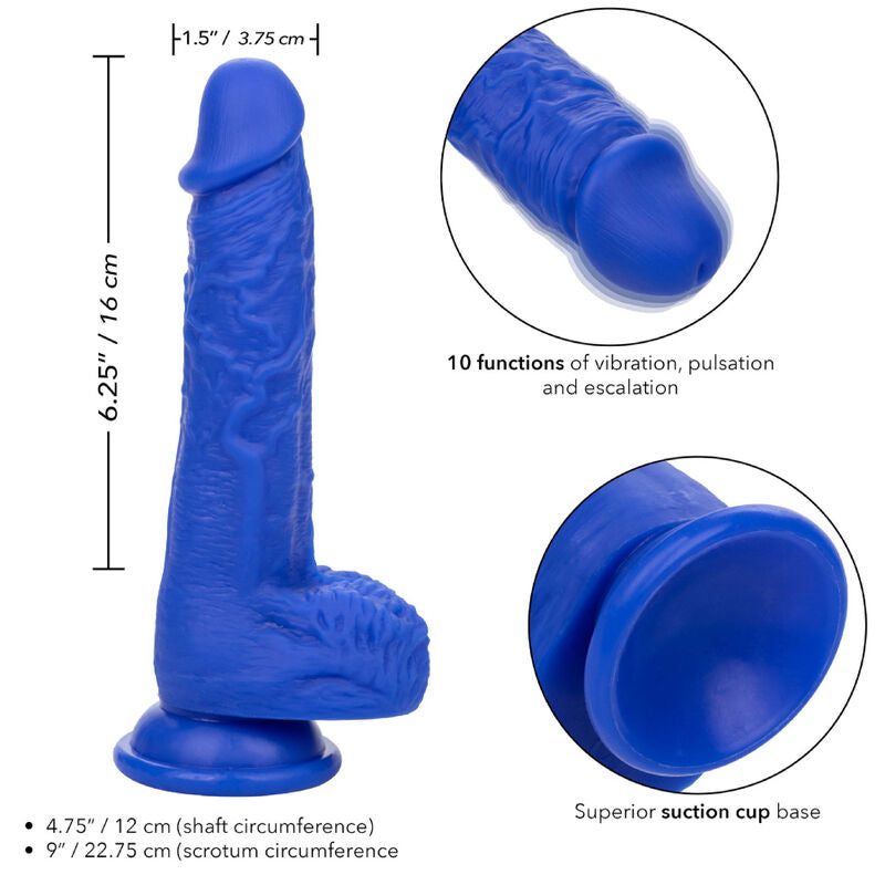 CALEXOTICS - ADMIRAL MORNAR REALISTIČNI DILDO VIBRATOR MODRA