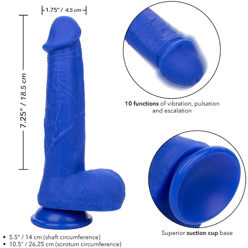 CALEXOTICS - ADMIRAL CAPTAIN REALISTIČNI DILDO VIBRATOR MODRI