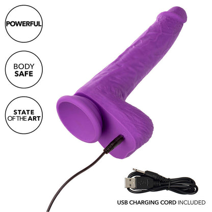 CALEXOTICS - VIBRATOR Z MOŽNOSTJO POLNJENJA IN VRTENJA 10 VIBRACIJ VIJOLIČNA