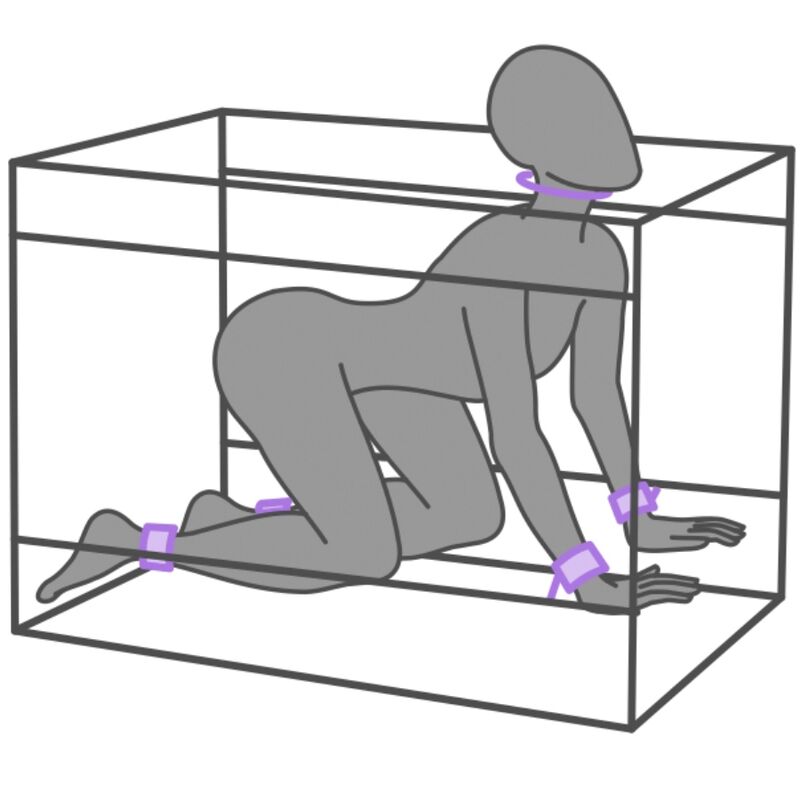 SECRET DOME - KINK CLUB LA NICHE CABIN PURPLE