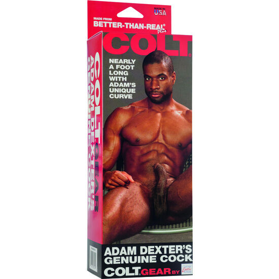 CALEXOTICS - ŽREBIČEK ADAM DEXTERS COCK